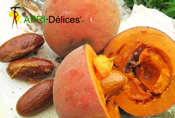 Bitter Cola (Garcinia kola) 500g
