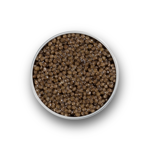 Caviar Beluga 50g LE CAVIARISTE