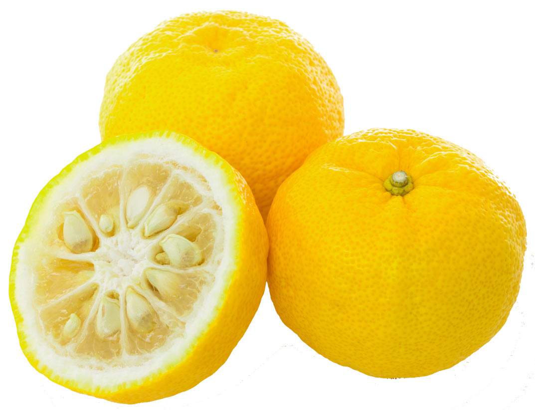 Crème de Yuzu lot de 2 pots de 200g Le Coq Noir