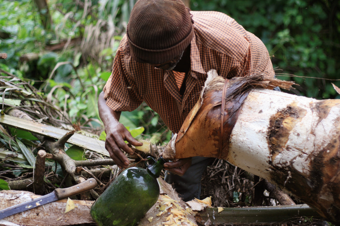 Vin de Palme du Cameroun pasteurisé lot de 2 bouteilles de 60cl