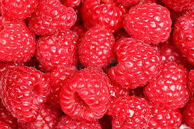 Purée de framboise 2.5kg Ponthier