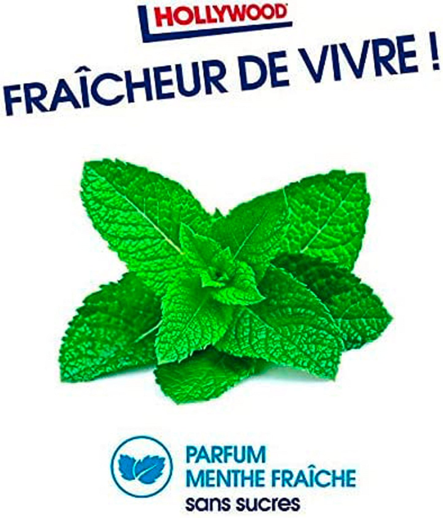 Bottle ice fresh lot de 6 boîtes Hollywood