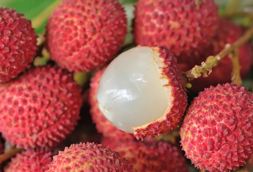 Purée de litchi lot de 3 sachets souples de 1kg Ponthier