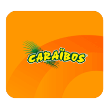 Boisson mangue lot de 24 boîtes 33cl Caraïbos