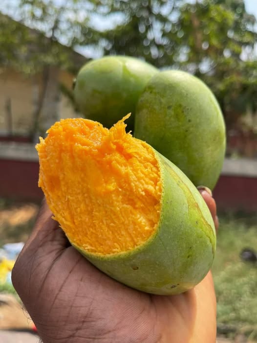 Mangue extra 2 kg origine Cameroun