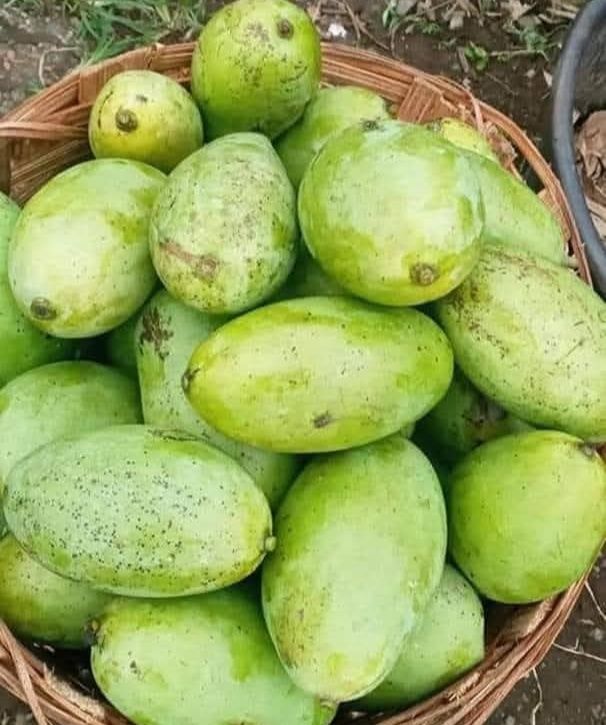 Mangue extra 2 kg origine Cameroun