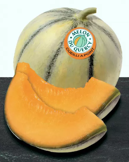 Purée de melon du Quercy lot de 3 sachets souples de 1kg Ponthier
