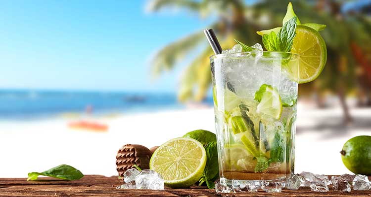 Purée de fruit Mojito lot de 3 sachets souples de 1kg Ponthier