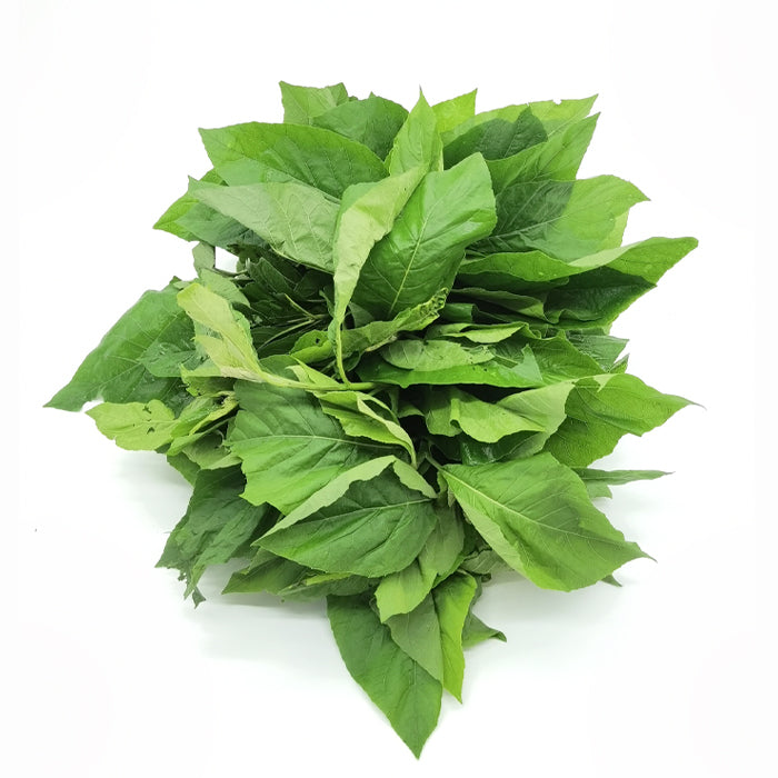 Feuilles de Ndolè fraîches (Vernonia amygdalina) 5 kg
