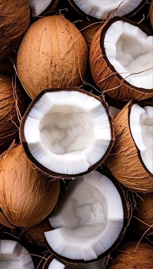 Purée de noix de coco lot de 3 sachets souples de 1 kg Ponthier