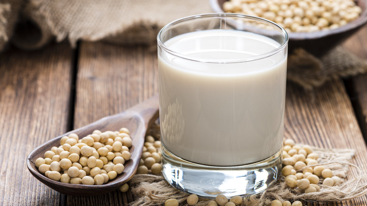 Soya Bean Drink 1 carton de 24 canettes de 300ml AMOCAN