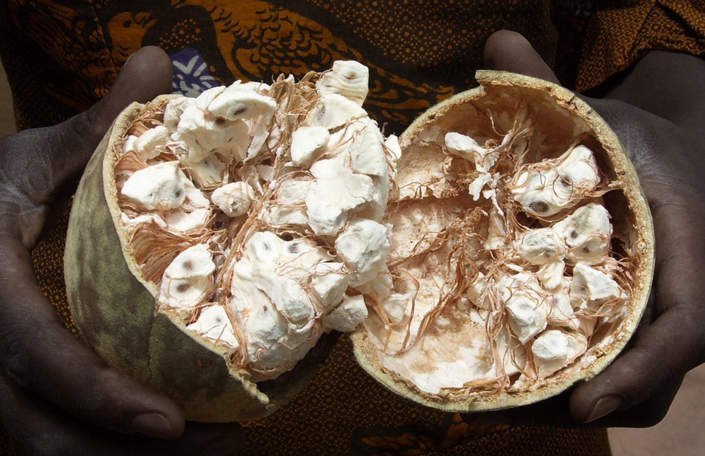 Fruit du Baobab - Pain de singe (Adansonia digitata) 100g