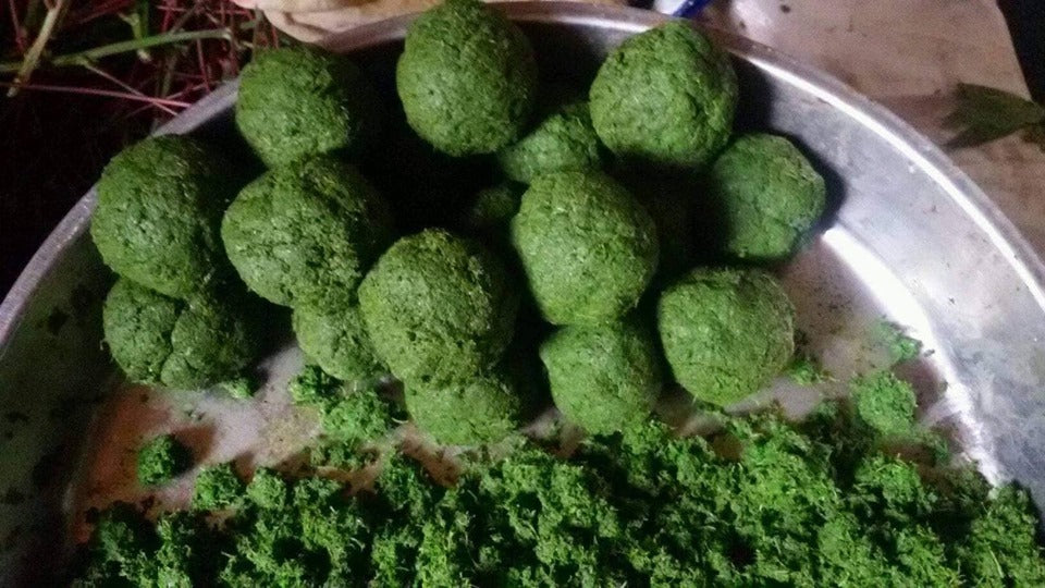 Saka-Saka - Pondu - Kwem (Feuilles de manioc pilées surgelées) 2 x 500g
