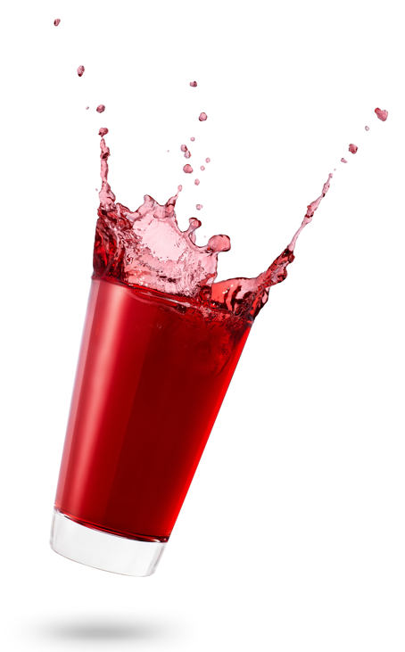 Hibiscus rouge BIO 100g Racines