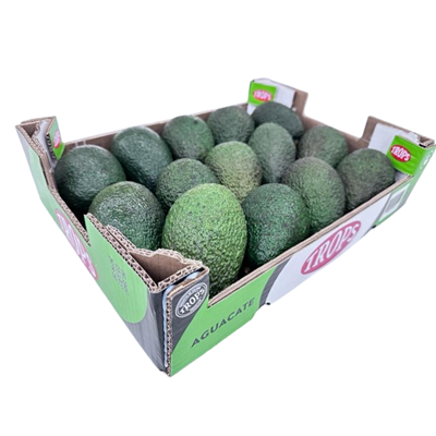 Avocat Hass calibre 258/313g catégorie 1 Espagne 14 fruits TROPS