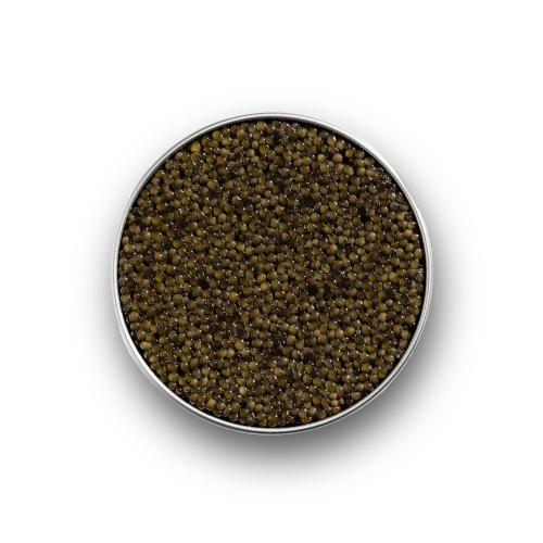 Caviar Osciètre 250g LE CAVIARISTE