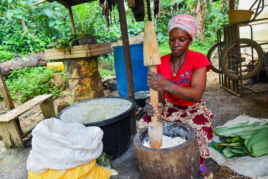 Bâtons de manioc frais 1 carton de 12 kg (60 pièces)