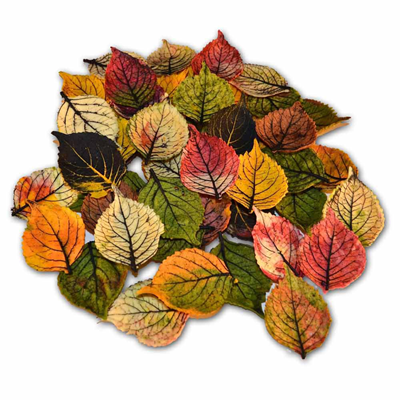 Feuilles d'automne plates x 80 soit 100g Decorfood