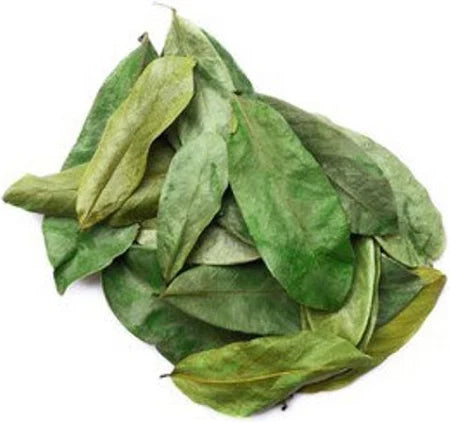 Feuilles de Corossol (Annona muricata) séchées 100g