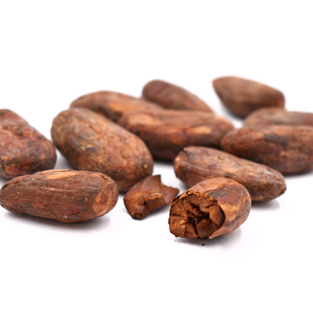 Fèves de cacao barquette lot de 5 barquettes de 100g Côte d'Ivoire