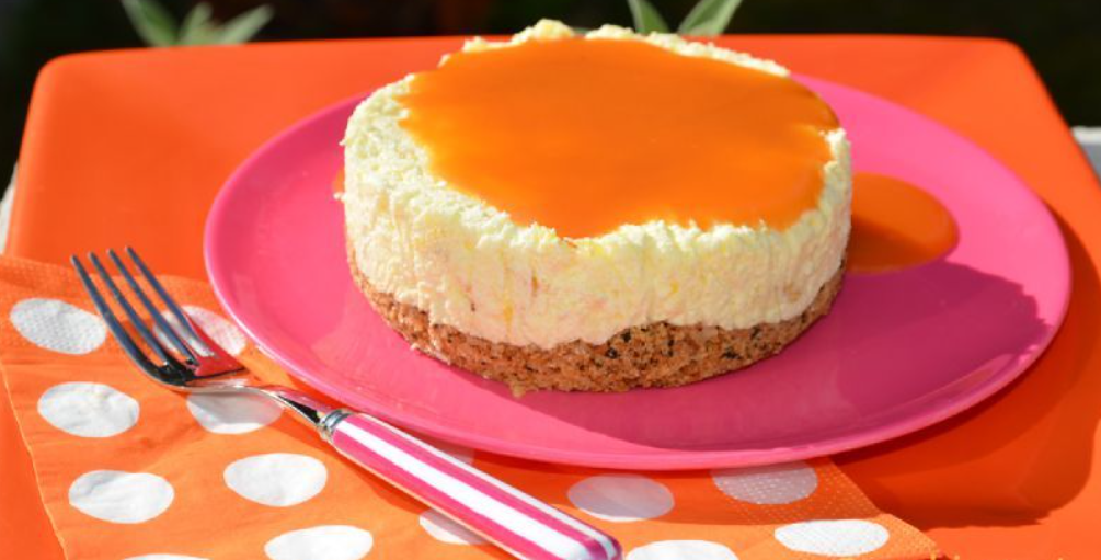 Purée d'abricot lot de 3 poches souples de 1 kg Ponthier