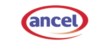 Garniture citron sceau de 4 kg Ancel