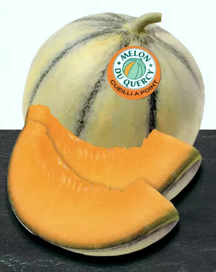 Purée de melon du Quercy 1kg Ponthier