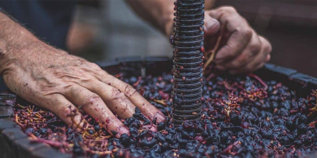 Moutarde à la violette lot de 2 bocaux de 850g Denoix