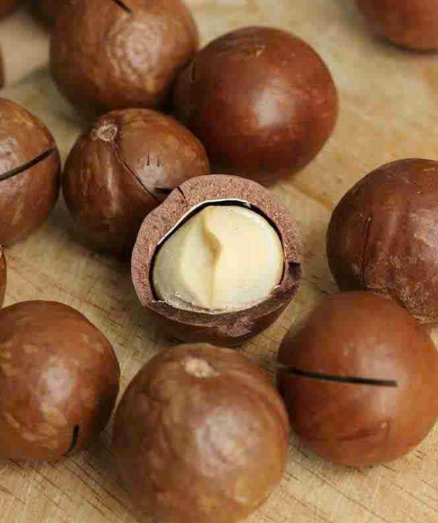 Noix de macadamia fraîches avec coque 1 kg calibre 22