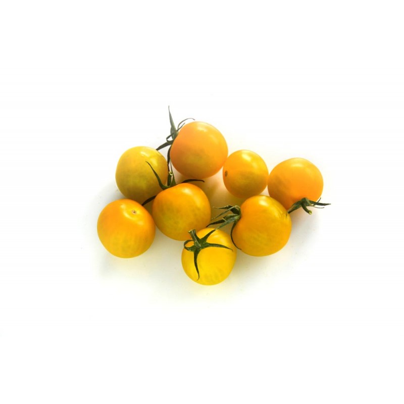 Tomates semi-séchées jaunes lot de 3 bocaux de 1 kg Lombardo Sott'Oli