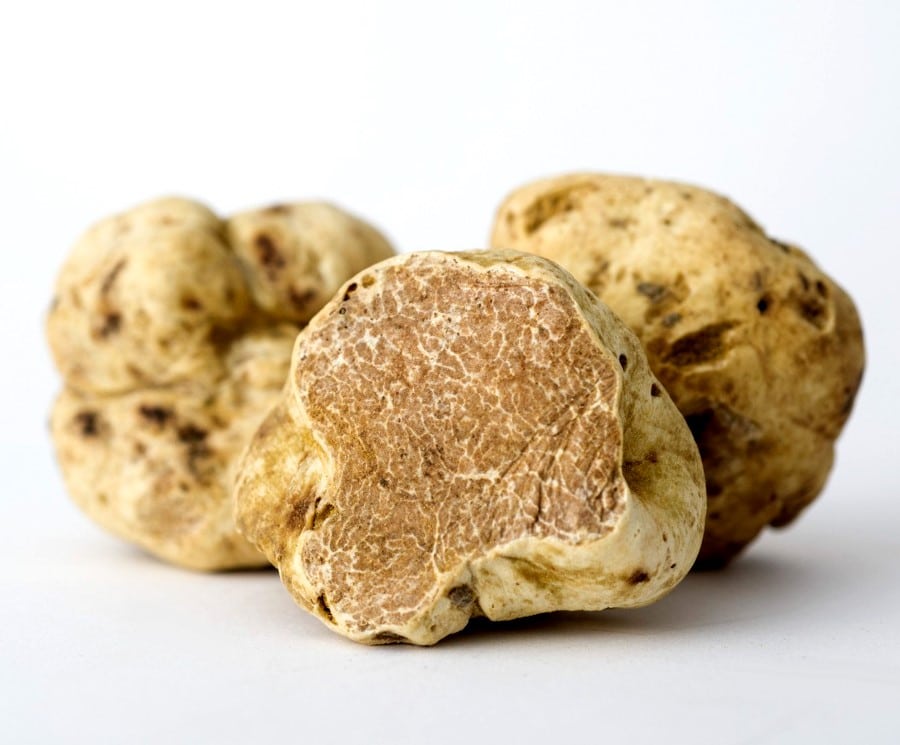 Crème à la truffe blanche lot de 2 bocaux de 350g La Favorita