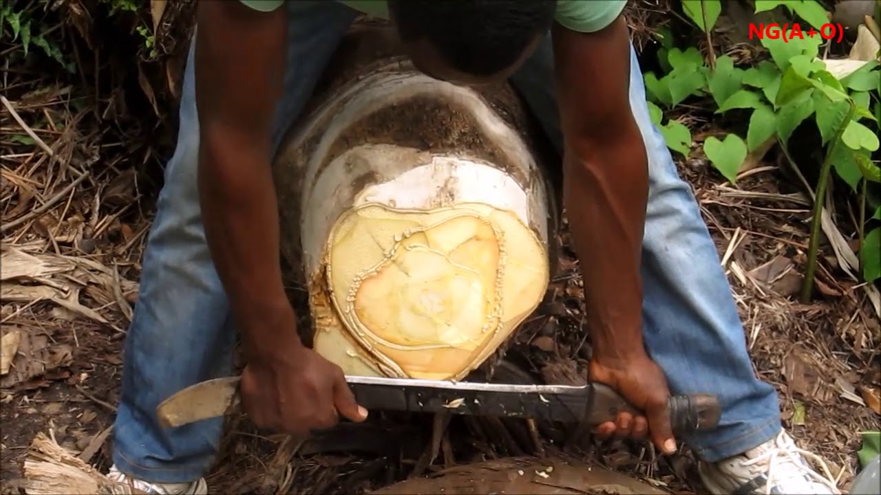 Vin de Palme du Cameroun pasteurisé lot de 2 bouteilles de 60cl