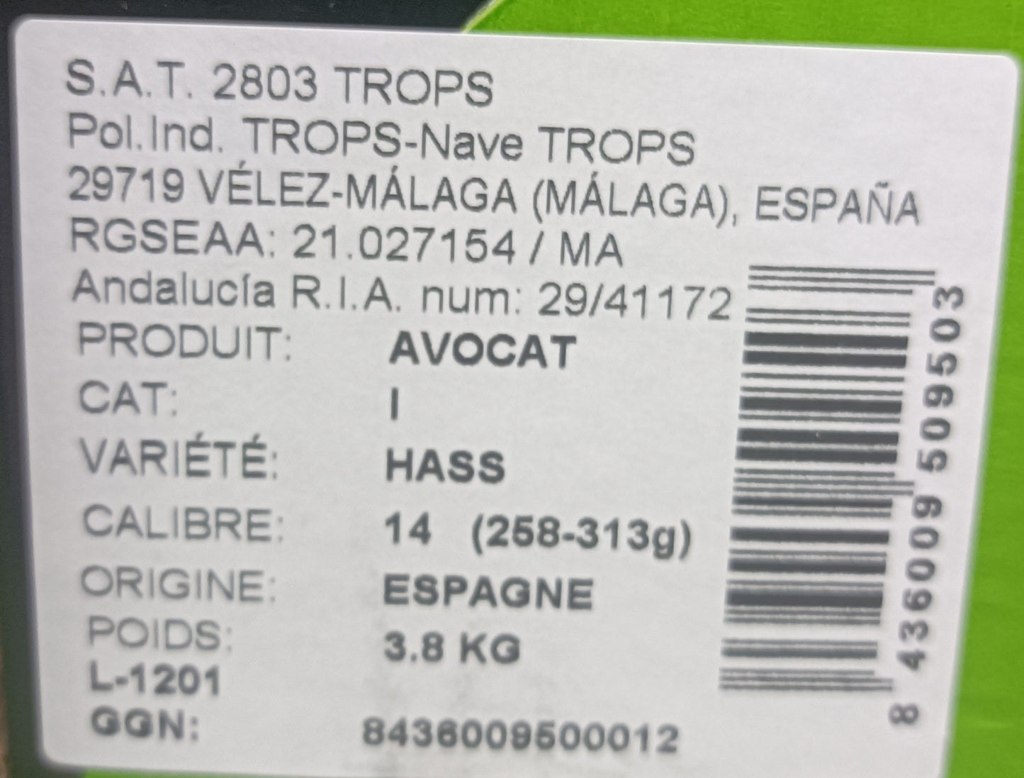 Avocat Hass calibre 258/313g catégorie 1 Espagne 14 fruits TROPS