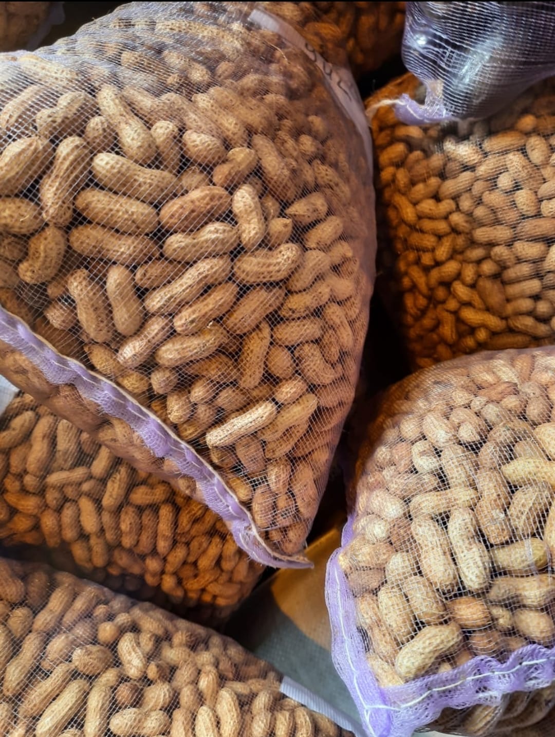 Arachides crues avec coques 4 kg Origine Afrique.