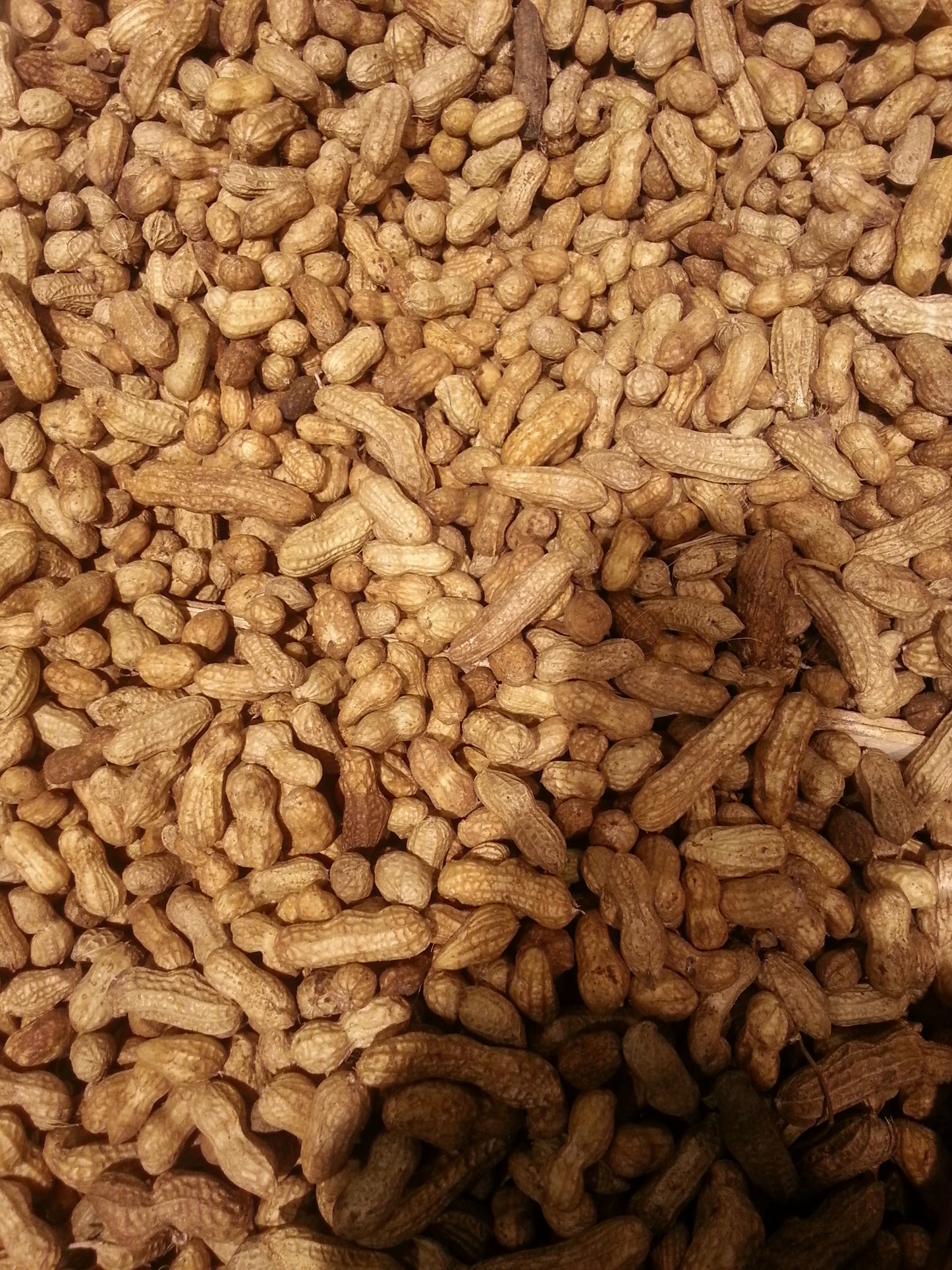 Arachides crues avec coques 4 kg Origine Afrique.