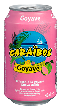 Boisson goyave lot de 24 boîtes 33cl Caraïbos