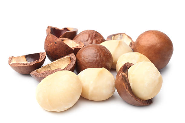 Noix de macadamia (Macadamia)